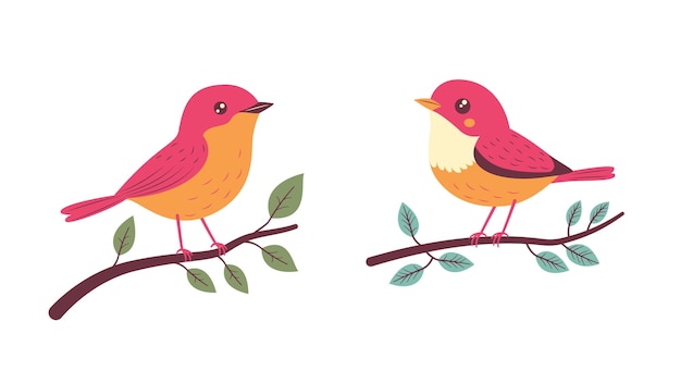 Ein Paar süße rote Robin-Vögel, die auf einem Baumzweig sitzen