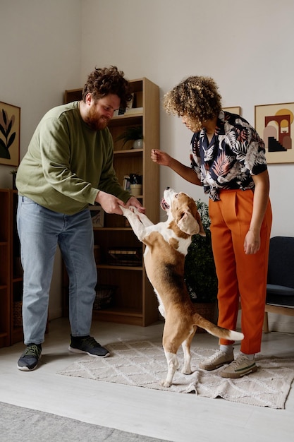 Ein Paar trainiert seinen Hund zu Hause