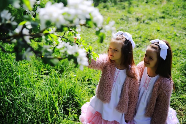 Ein Paar Zwillingsmädchen geht in einem Apfelgarten spazieren. Kinder gehen im Park spazieren