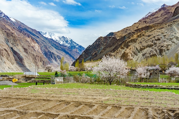 Ein Panoramablick auf das Turtuk-Tal und den Shyok-Fluss.