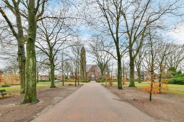 Ein Park mit Bäumen und einem Gebäude im Hintergrund