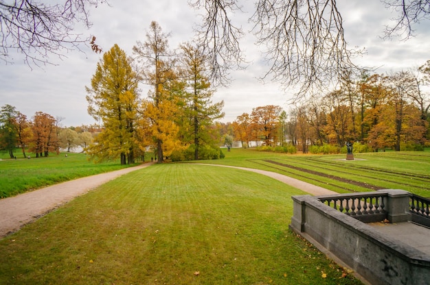 Foto ein pfad, der zum see führt