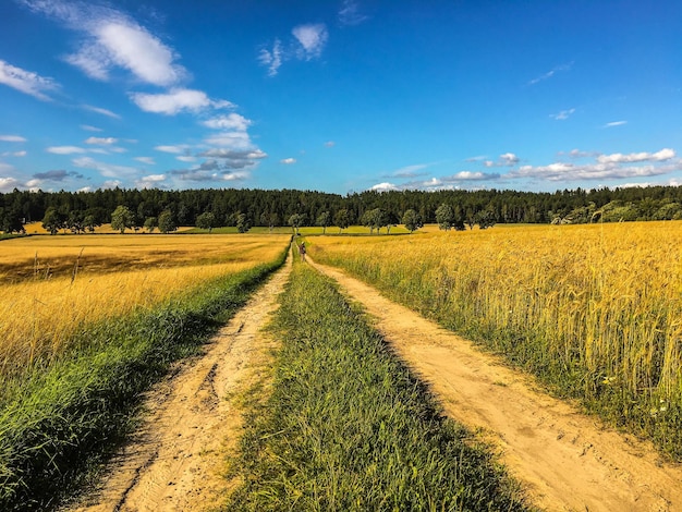 Ein Pfad inmitten eines grasbewachsenen Feldes gegen den Himmel