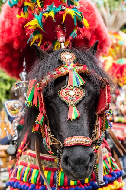 Ein Pferd mit traditioneller Dekoration und Farben Sizilianer auf einer Party am Sonntag für Kinder