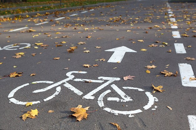 Ein Radweg mit einem Fahrradverkehrsschild und Markierungen auf dem Asphalt. Der Herbstweg im Park ist mit trockenen gelben Ahornblättern übersät. Radfahren im Herbst, Verkehrsregeln