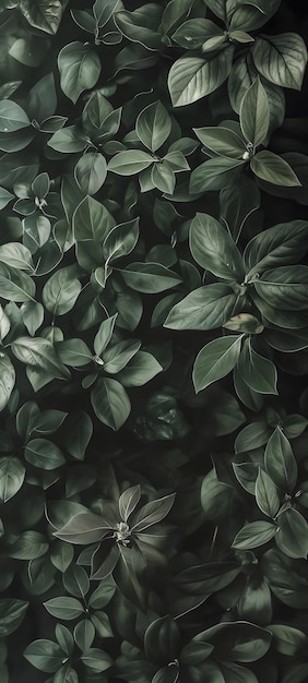 Foto ein rätselhaftes botanisches kunstwerk mit dunklen tönen und üppigem laub