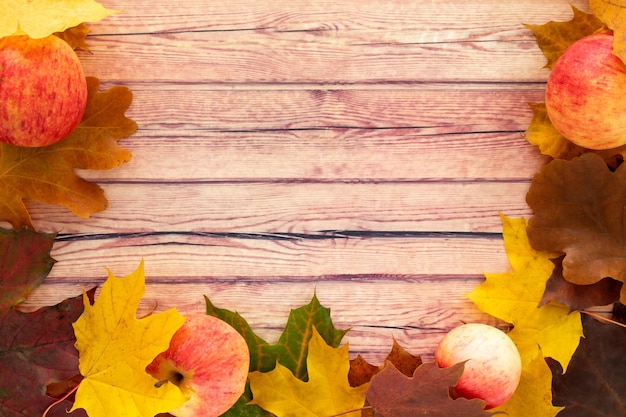 Ein Rahmen aus herbstlichen Ahornblättern und reifen Äpfeln auf dunklem Holz Hintergrund Das Konzept des Thanksgiving