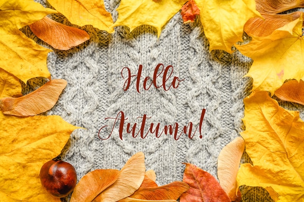 Ein Rahmen aus herbstlichen orangefarbenen Ahornblättern und Samen und roter Kastanie auf dem Hintergrund eines gemütlichen grauen Herbststrickwollpullovers. Text "Hallo Herbst" der Schriftart