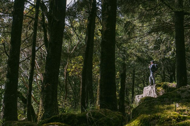 Ein Reisender mit Rucksack im Wald