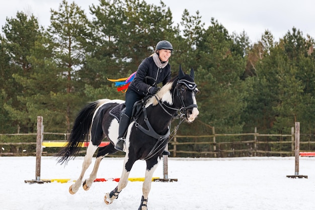 Ein Reiter auf einem Pferd springt im Winter über die Barriere in der Arena Ein Mädchen in schwarzer Kleidung sitzt auf einem Wallach Hintergrund von Fichten für die Inschrift