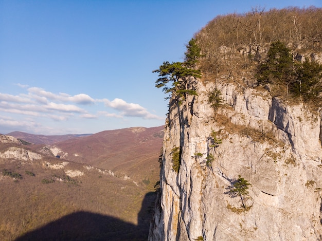 Ein riesiger Felsen inmitten eines dichten Waldes unglaublicher Höhe