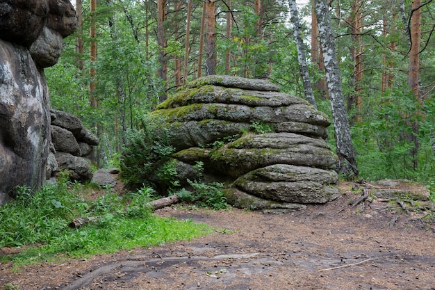 Foto ein riesiger moosbedeckter steinberg in einem nadelwald