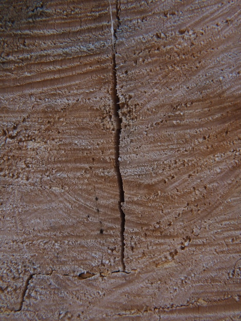 Ein Riss in einer Wand, die Risse bekommen hat und aus echtem Holz besteht.