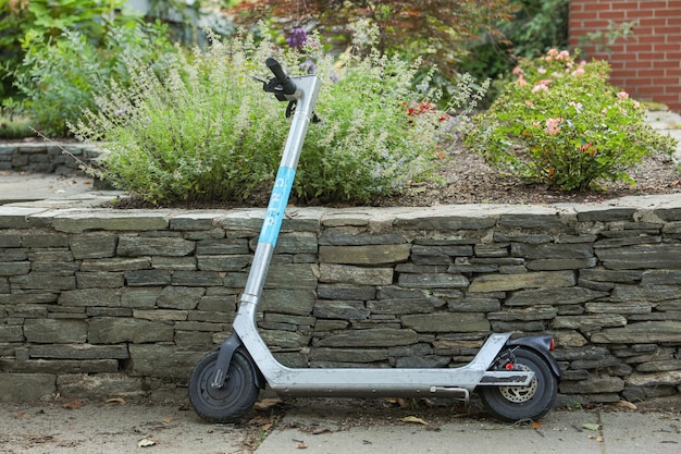 Ein Roller steht in einem Blumenbeet.