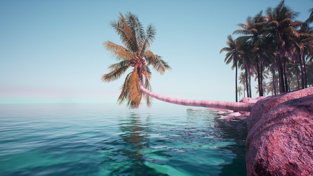 Foto ein rosa flamingo ist im wasser mit einer palme im hintergrund.