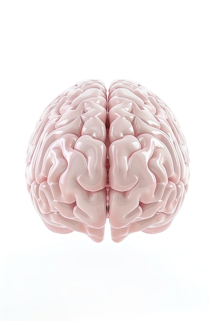 Ein rosa Gehirn auf weißem Hintergrund