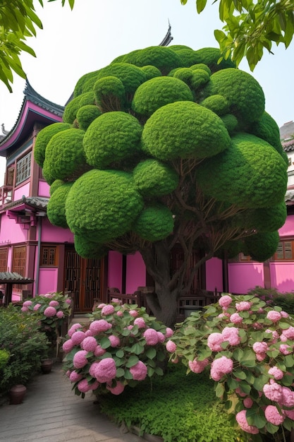 Ein rosa Haus mit einem Baum davor