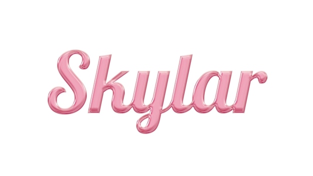 Ein rosa Schild mit der Aufschrift „Skyland“.