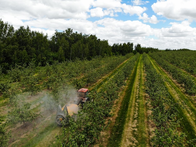 Ein roter Traktor versprüht Pestizide in einer Apfelplantage und besprüht einen Apfelbaum mit einem Traktor