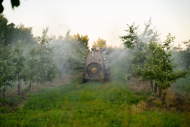 Ein roter Traktor versprüht Pestizide in einer Apfelplantage und besprüht einen Apfelbaum mit einem Traktor