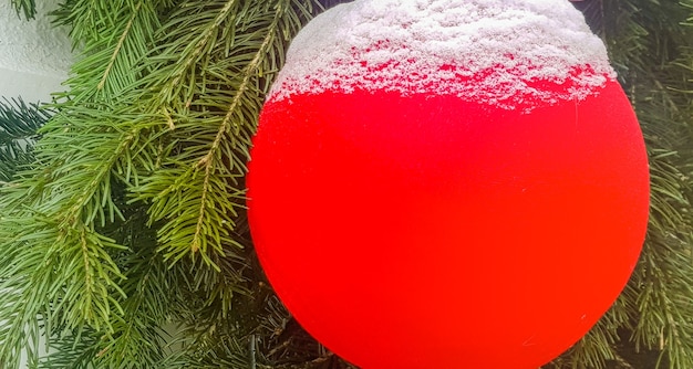 Ein roter Weihnachtsball, mit Schnee bedeckt, auf dem Hintergrund eines Tannenzweigs, Weihnachtsschmuck im Freien, Banner.