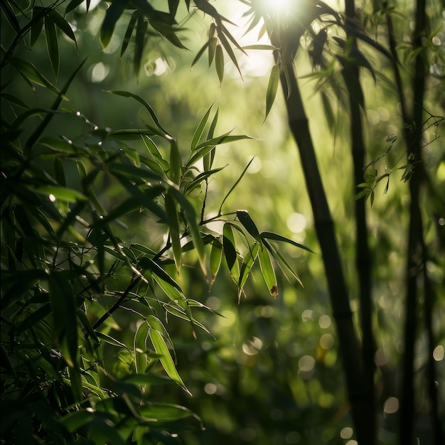 Ein ruhiger Frühlingstag Das sanfte Sonnenlicht durch den Bambusgarten