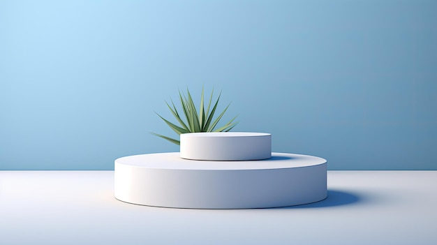 ein runder Tisch mit einer Pflanze drauf