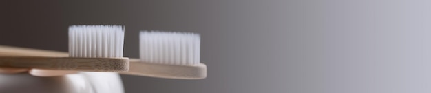 Ein Satz umweltfreundlicher Zahnbürsten aus Bambusholz in einem zahnförmigen Halter