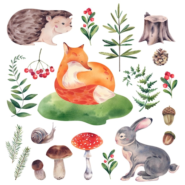 Ein Satz von Fuchs Kaninchen Igel Fawn Pilze fliegen Agarics Porcini Viburnum Cranberries Stumpf Farn Kegel Schnecken Fichte Eicheln und Zweige Aquarell Illustration Waldtiere