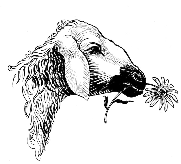 Ein Schaf mit einer Blume im Maul hält eine Blume im Maul.