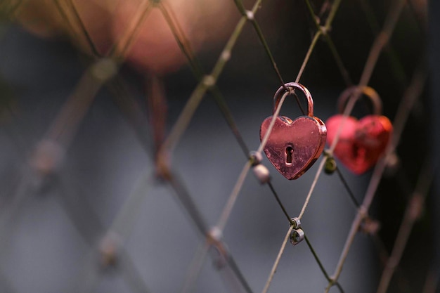 Ein Schlüssellock hängt an einem Metallzaun auf einer Brücke