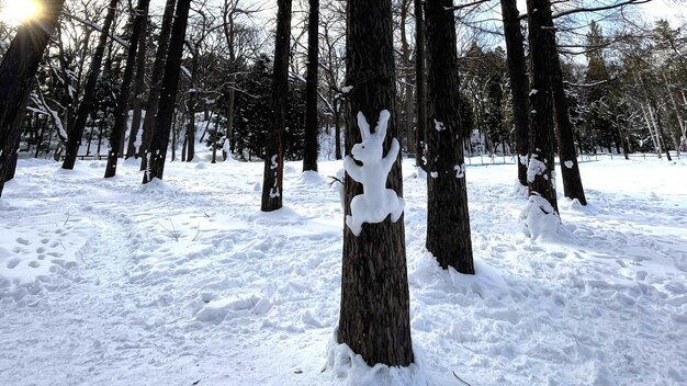 Foto ein schneebedeckter baumstamm mit einem kaninchen darauf