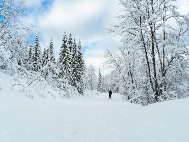 Foto ein schneebedeckter weg in nordnorwegen