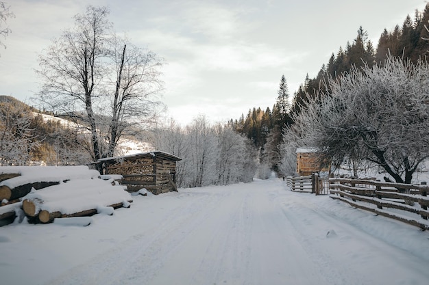 Ein schneebedeckter Zug