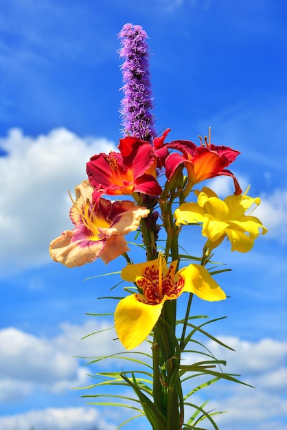 Ein schöner Blumenstrauß aus Sommerblumen der Taglilie, Liatris und Tigridia vor dem Hintergrund des Himmels mit Wolken. Hochzeit, Liebe.