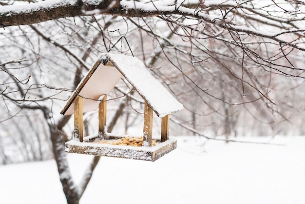 Ein schöner kleiner Garten mit einem Vogelhäuschen, das im Winter am Vogelhäuschen füttert Verschneiter Wintertag im Garten