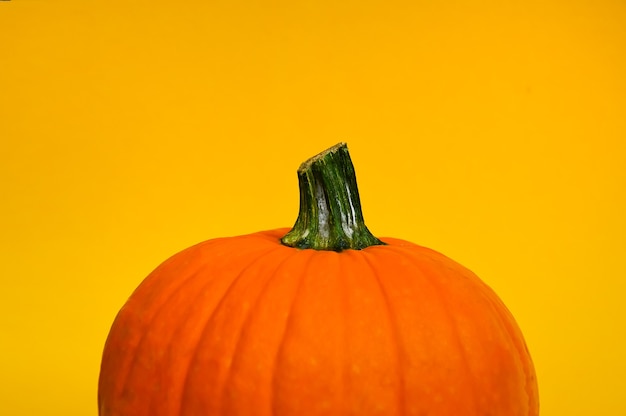 Ein schöner orangefarbener Kürbis ist auf einem gelben Hintergrund isoliert und bereitet sich auf den Halloween-Urlaub vor4