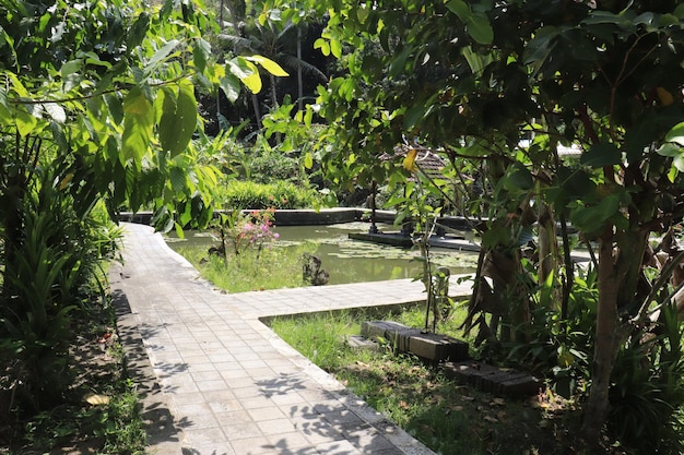 Ein schöner Panoramablick auf Bali Indonesien