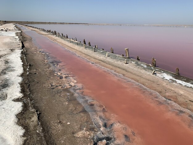 Ein schöner Salzsee mit rosa Wasser. Schöne Aussicht auf rosa See am Sommertag