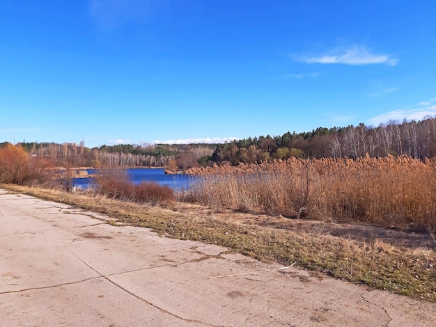 Ein schöner See im frühen Frühling