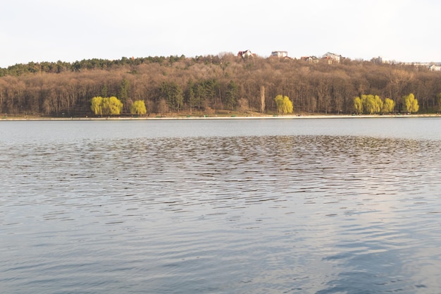 Ein schöner See und ein paar Weiden, die im Frühling grün werden