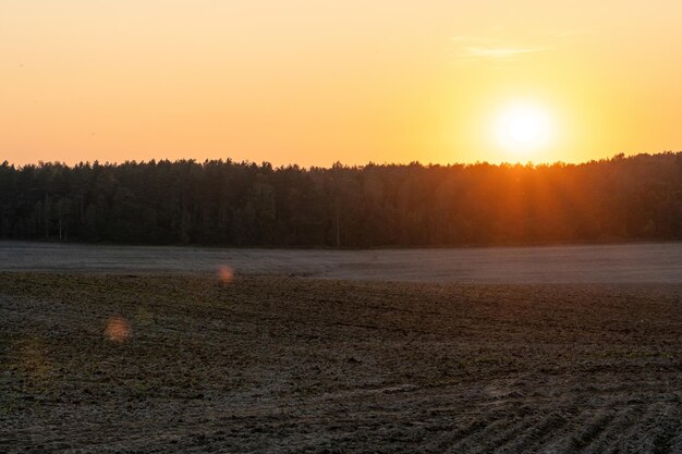 Ein schöner Sonnenuntergang über einem Wald und einem gepflügten Feld Ansicht von Ackerland während des Sonnenuntergangs Orte für Erholung und Tourismus in Weißrussland Natur von Weißrussland