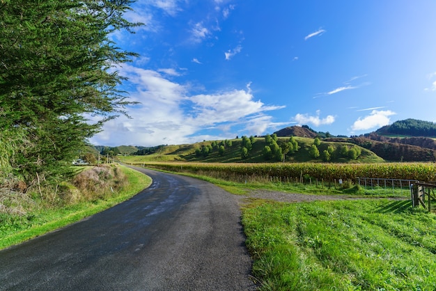 Ein schöner Tag in Whanganui, Nordinsel von Neuseeland