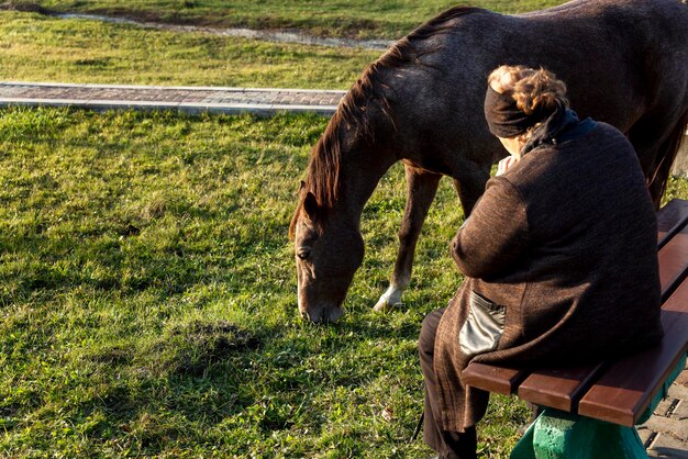 Ein schönes braunes Pferd und eine ältere Frau. Fürsorge und Freundschaft.