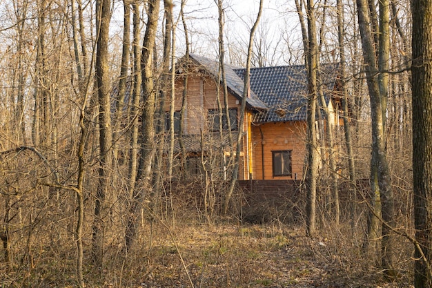 Ein schönes Holzhaus im Wald im Winter Bäume ohne Blätter