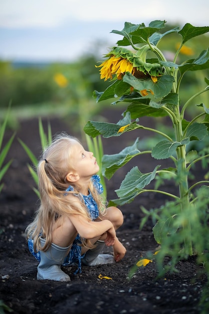 Ein schönes Mädchen mit langen Haaren sitzt und betrachtet Sonnenblumen