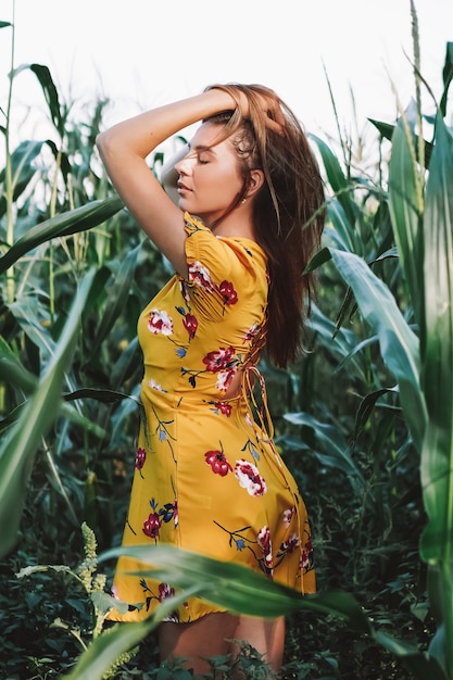 Ein schönes Model-Mädchen im gelben Kleid geht und posiert im Dickicht eines Maisfeldes