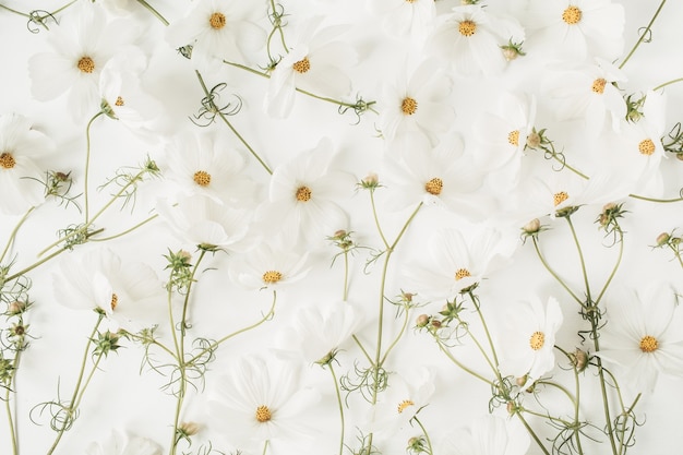 Ein schönes Muster mit weißen Kamille, Gänseblümchenblumen. Blumentextur oder Druck. Feiertags-, Hochzeits-, Geburtstags-, Jubiläumskonzept