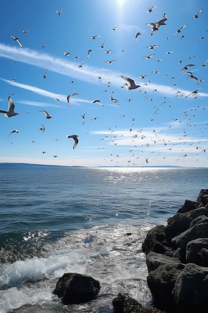 Ein Schwarm Möwen fliegt über das Wasser und der Himmel ist blau.