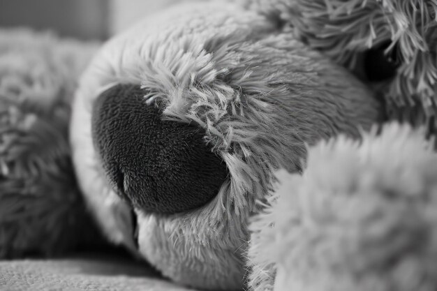 Foto ein schwarz-weißes foto eines teddybären